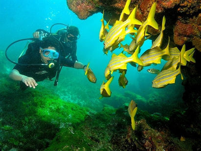 Turismo en America Latina - Fernando de Noronha